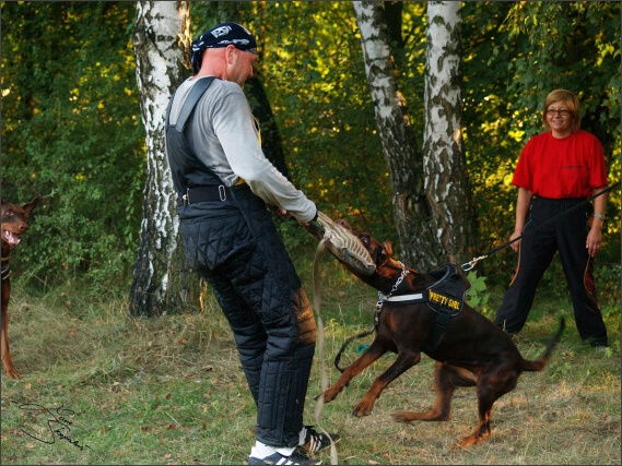 Summer training camp - Jelenec - 2007